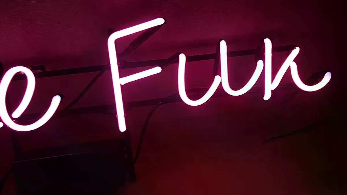 havefun네온사인 핑크색 Have Fun 필기체 문구