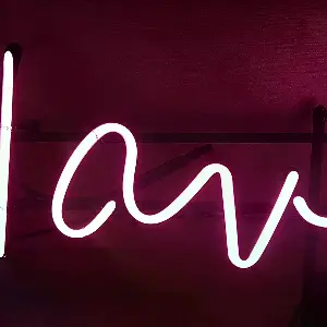 핑크색 필기체로 작성된 havefun 네온사인